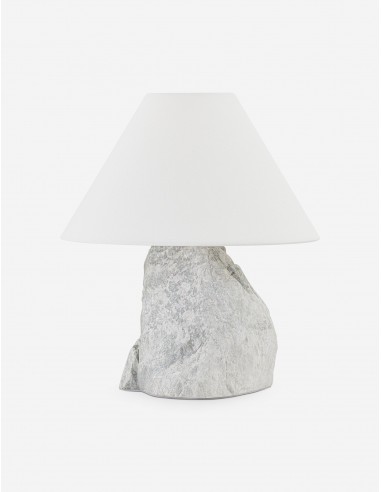 Carver Table Lamp by Colin King x Troy Lighting une grave pollution 