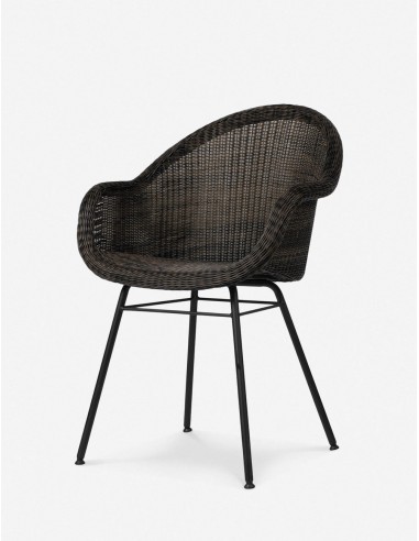 Briggs Indoor/Outdoor Dining Chair les ligaments