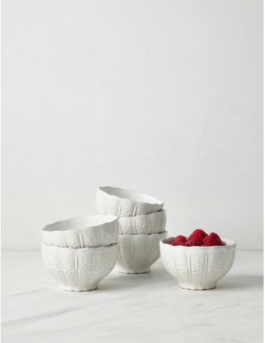 Aparte Fruit Bowls (Set of 6) by Costa Nova d'Europe débarque