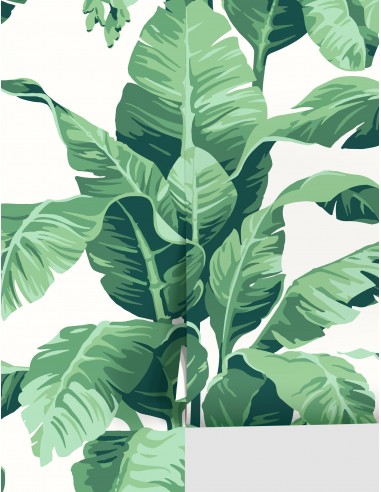 Pacifico Palm Wallpaper by Nathan Turner sélection de produits