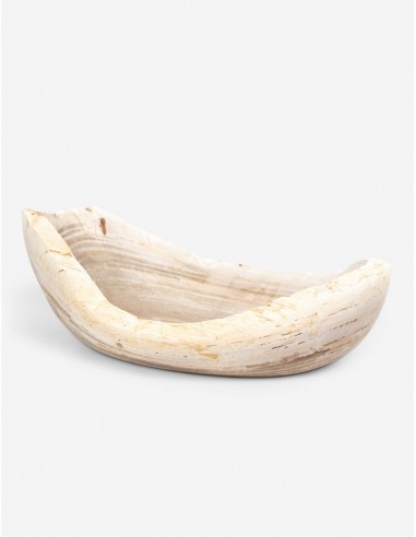 Noki Petrified Wood Bowl destockage