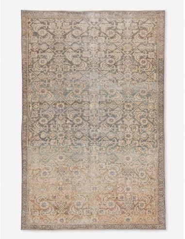 Phedora Rug 2023