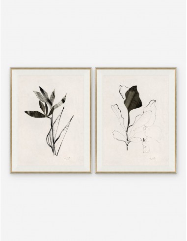 Noir I & II Print by Yuki Osada (Set of 2) store