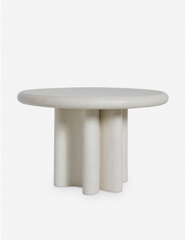 Ruiz Indoor / Outdoor Round Dining Table de technologie