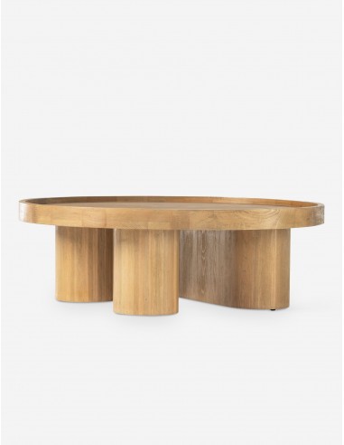 McNamara Coffee Table la colonne vertébrale