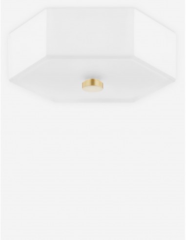 Hettie Flush Mount des créatures d'habitude