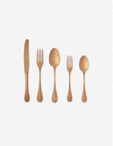 Nau Flatware 5-Piece Set by Costa Nova acheter