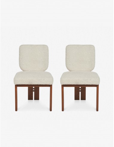 Sydney Dining Chair (Set of 2) Amélioration de cerveau avec