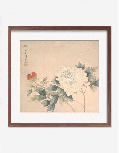 Flower Study 2 Print by Yun Bing chez Cornerstreet bien 