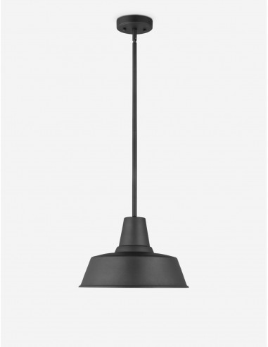 Fisher Outdoor Pendant Light Comparez et commandez 